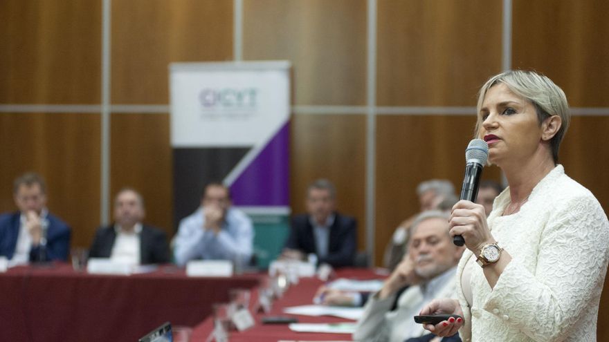 Directora del Malbrán: "Estudios muestran que la cepa británica no agrava el cuadro clínico"