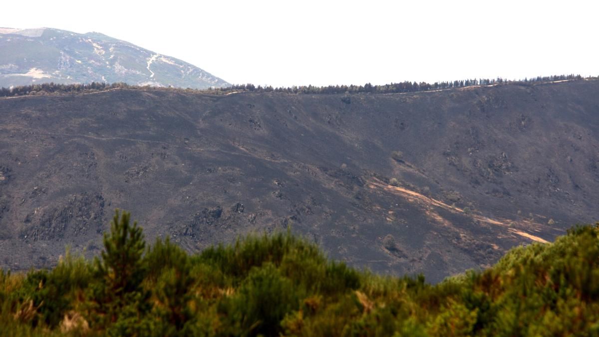 Incendio forestal en Orallo, en Laciana.