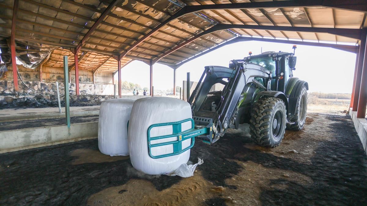 La Junta reparte 50 toneladas de alimento entre ganaderías de León afectadas por los incendios forestales