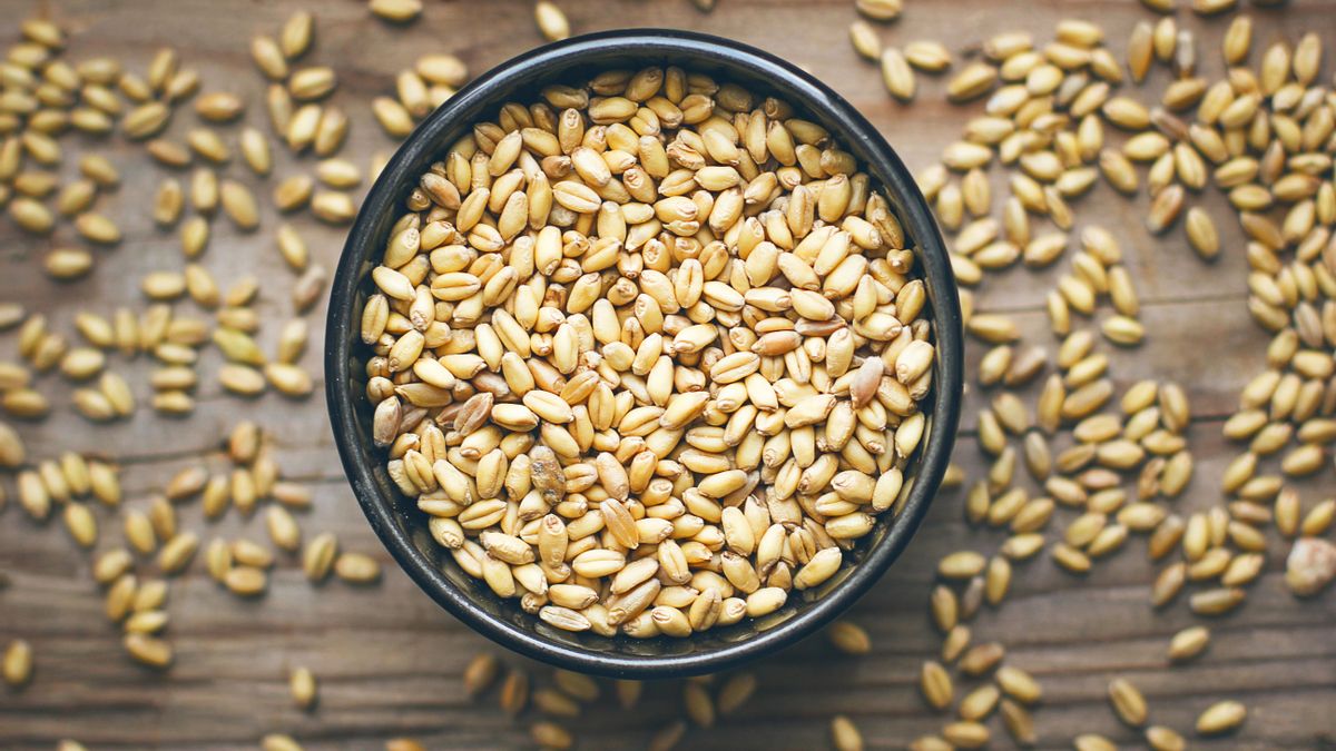 El trigo para esta receta se puede encontrar en mercados locales, algunas tiendas de barrio o supermercados y herbolarios