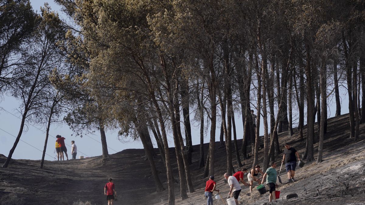Toda Castilla y León sigue en riesgo de incendios forestales este miércoles y cinco provincias también el jueves