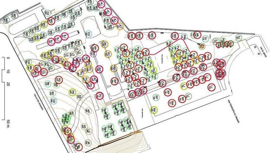 Un informe del Ayuntamiento de Madrid propuso talar 99 árboles en el mayor parque del centro