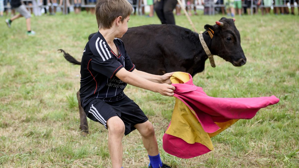 La Ley de Fomento Taurino en Euskadi: El Capote del Engaño