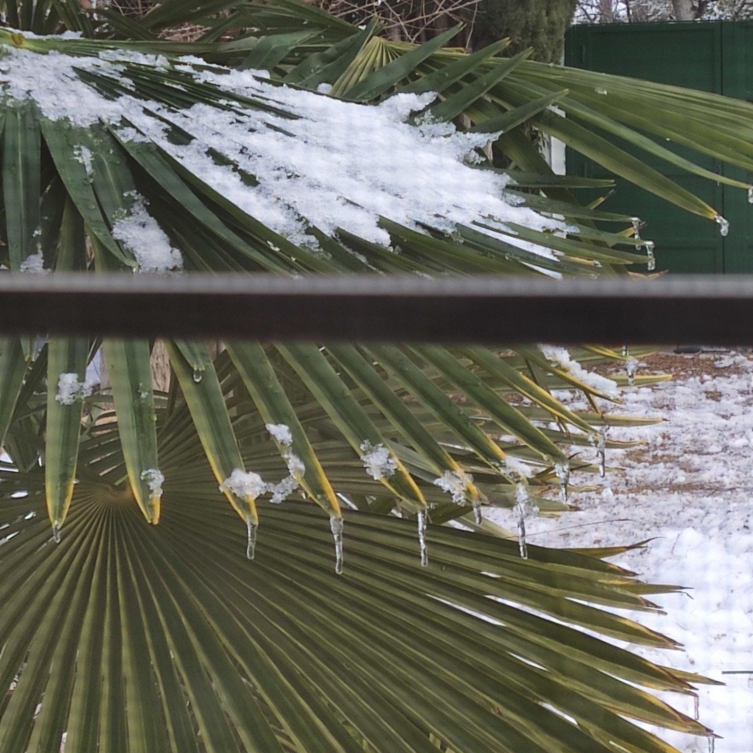 Carámbanos de hielo