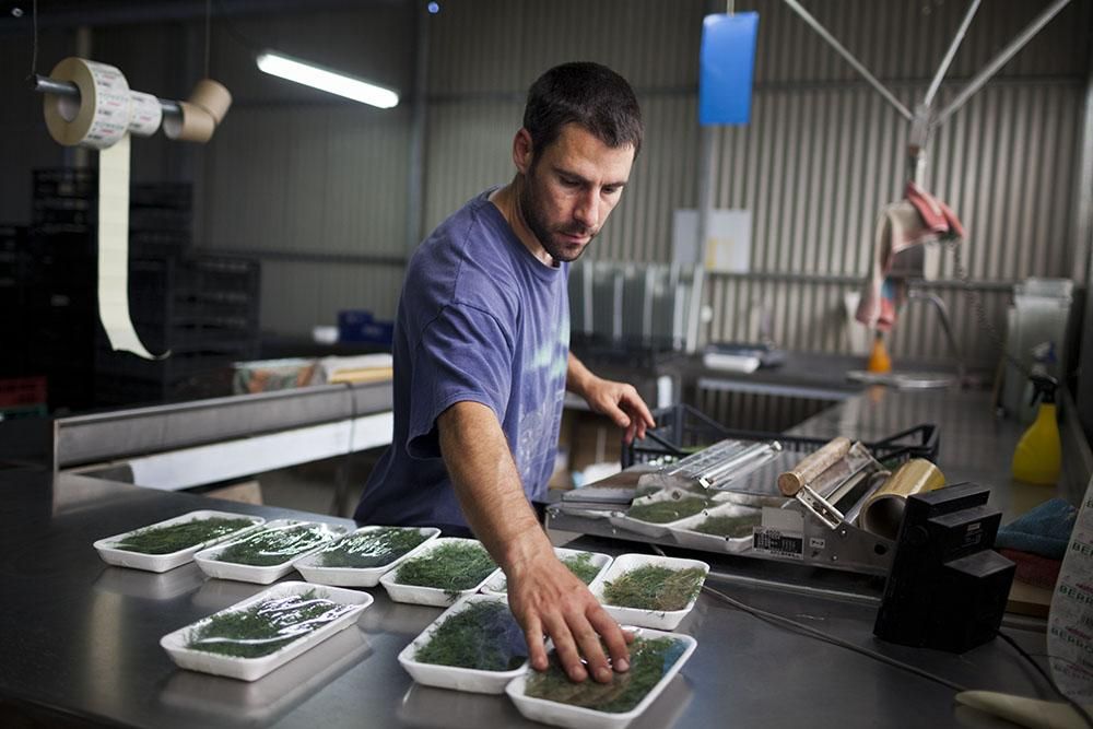 El Parc Agrari se sebrepone al Eurovegas / Edu Bayer