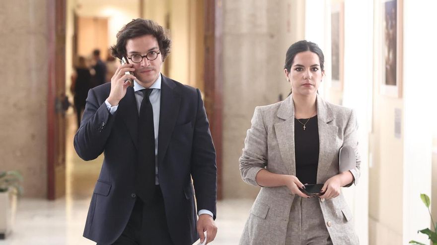 Los diputados de Vox José María Figaredo y Pepa Millán en el Congreso.