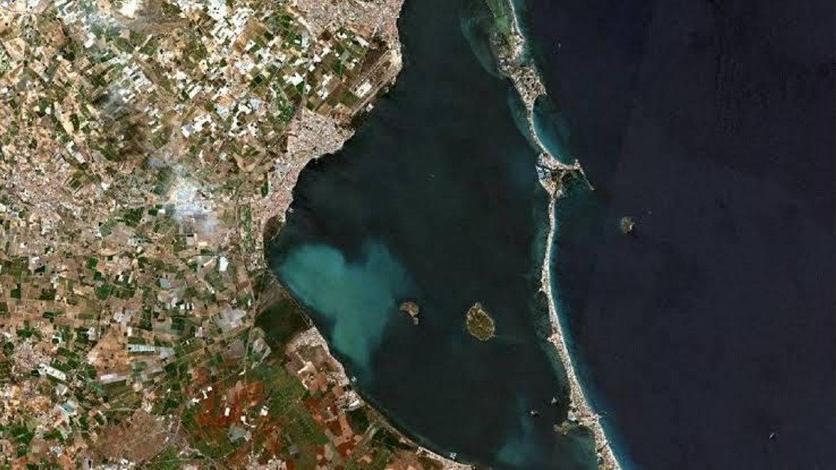 Desregulación y ambientalismo