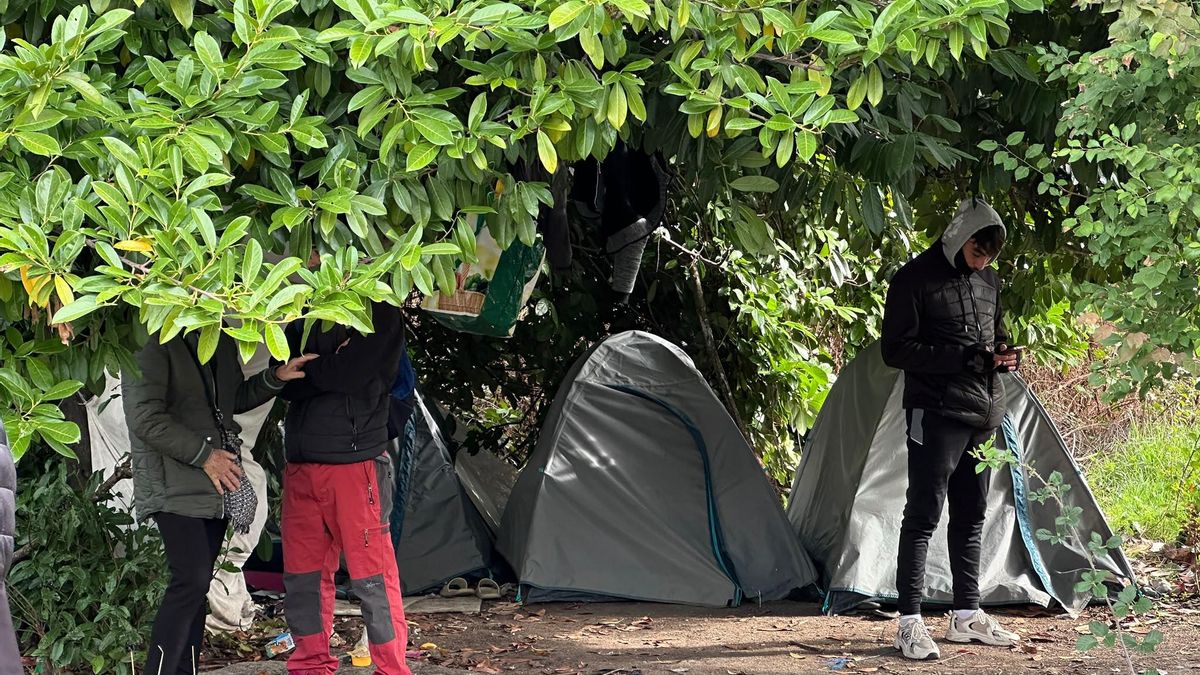 Tiendas dispuestas bajo un árbol al rededor del frontón Aranzadi