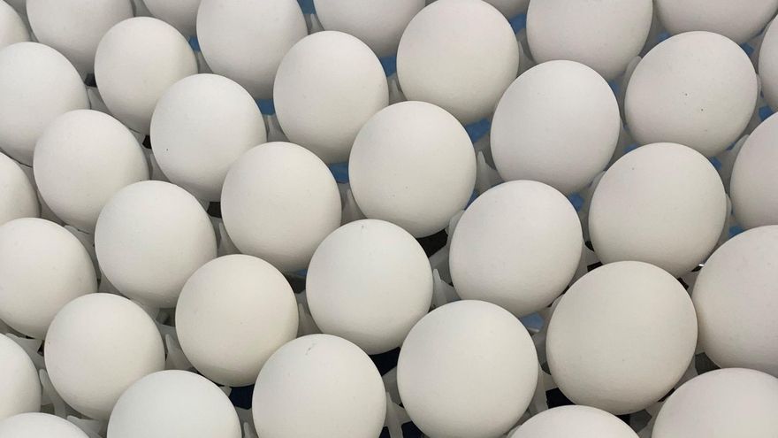 El aumento del precio de los huevos de gallina dispara su contrabando de Canadá a EE.UU.