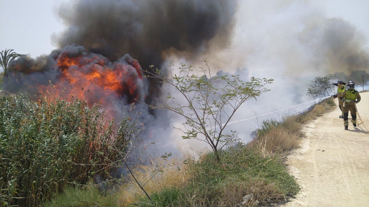 Bomberos en las labores de extinción
