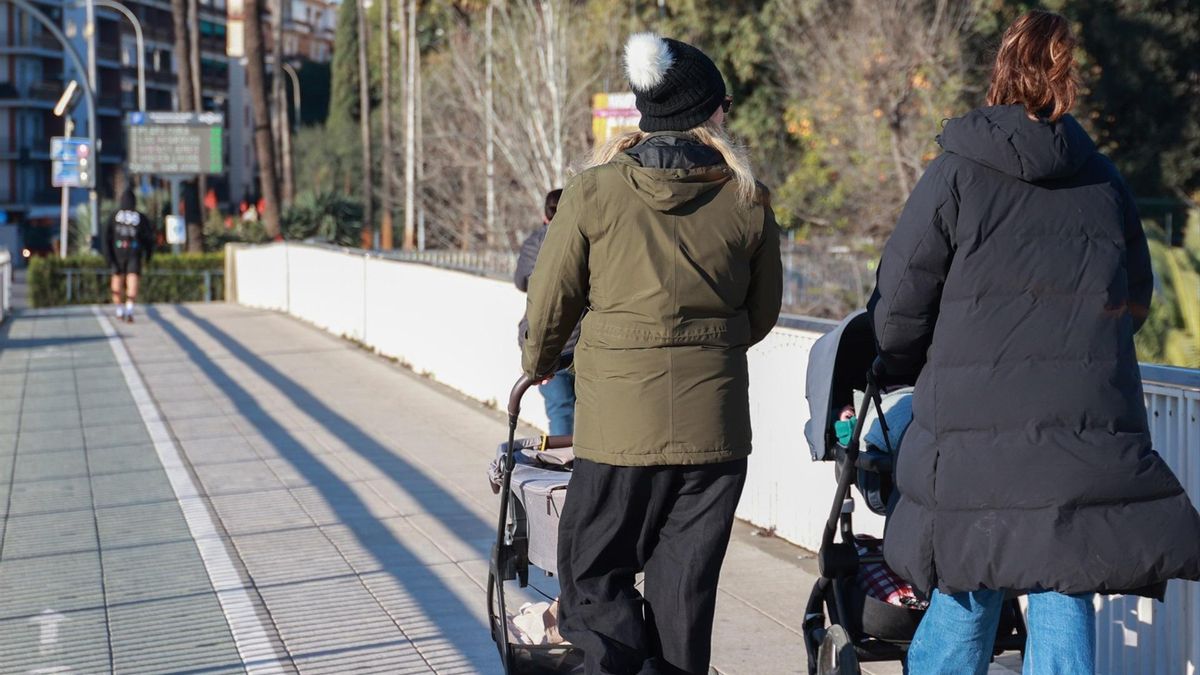 Nieblas densas y tardes soleadas para el puente de la Constitución