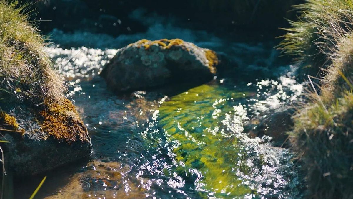 Nacimiento Bezoya, en Ortigosa del Monte (Segovia)