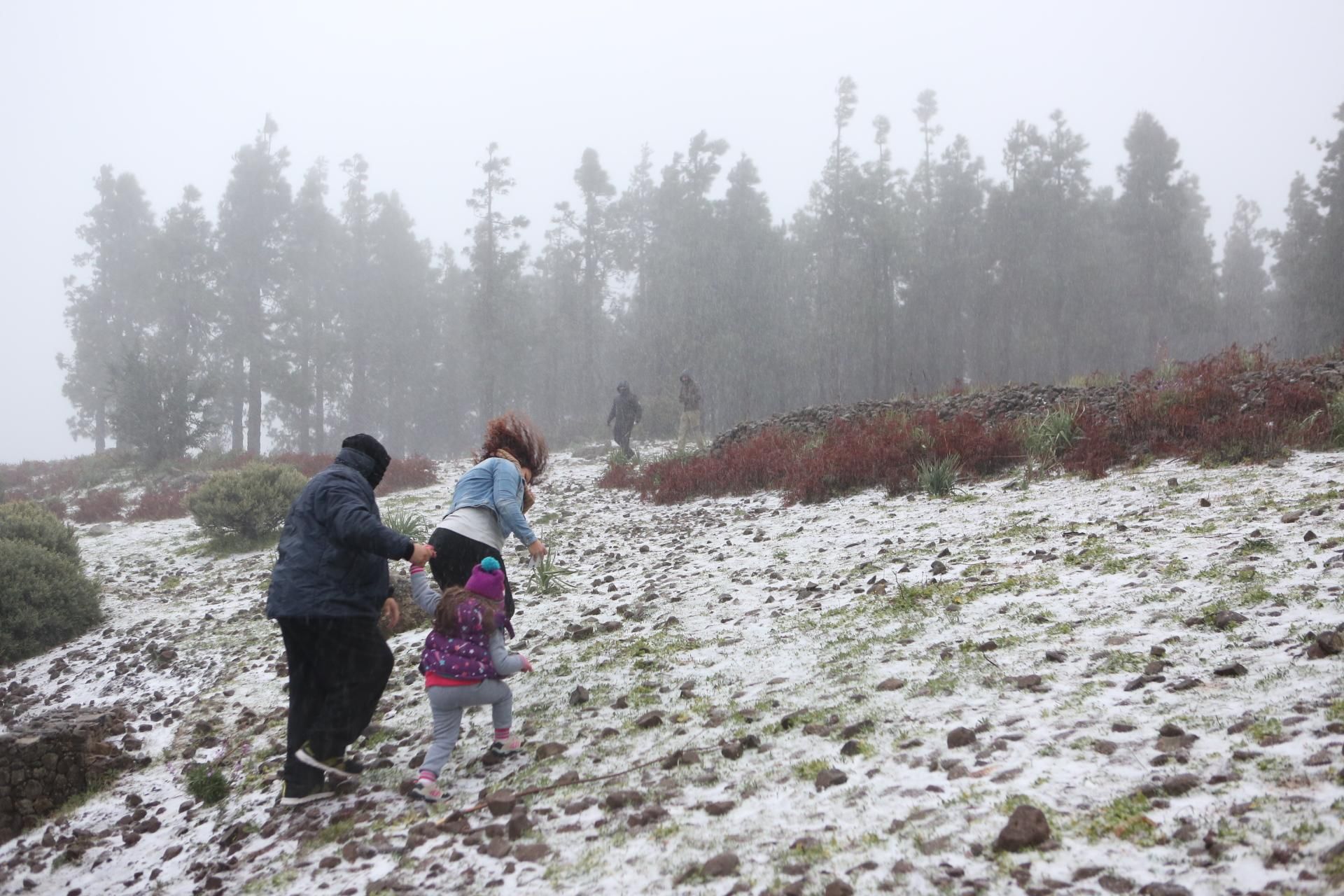 La nieve cubre de blanco la cumbre de Gran Canaria.