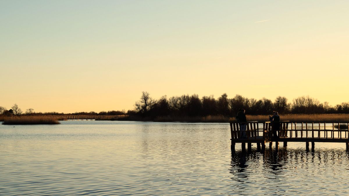 Daimiel roza el lleno total para la Semana Santa 2026 por el buen estado de su humedal