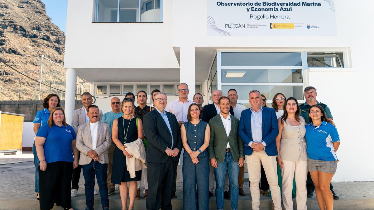 El Observatorio de Biodiversidad Marina de Tazacorte estudiará  los ecosistemas  surgidos tras el Tajogaite: “La Palma  abre una etapa en la economía azul”
