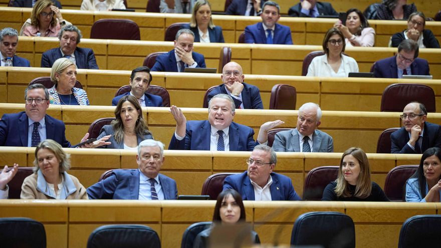 El senador del pp francisco bernabe perez sesion plenaria senado 23 abril 2024