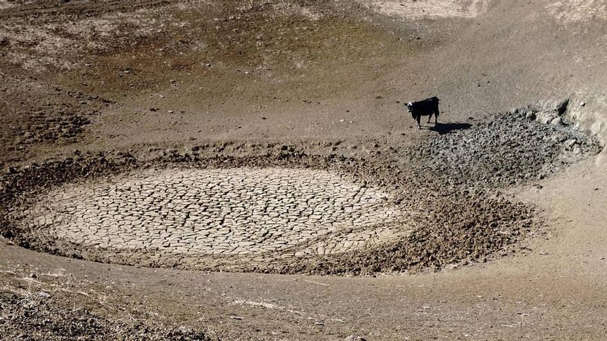 La Tierra dobla en solo diez años el calor que absorbe del Sol, la causa del cambio climático