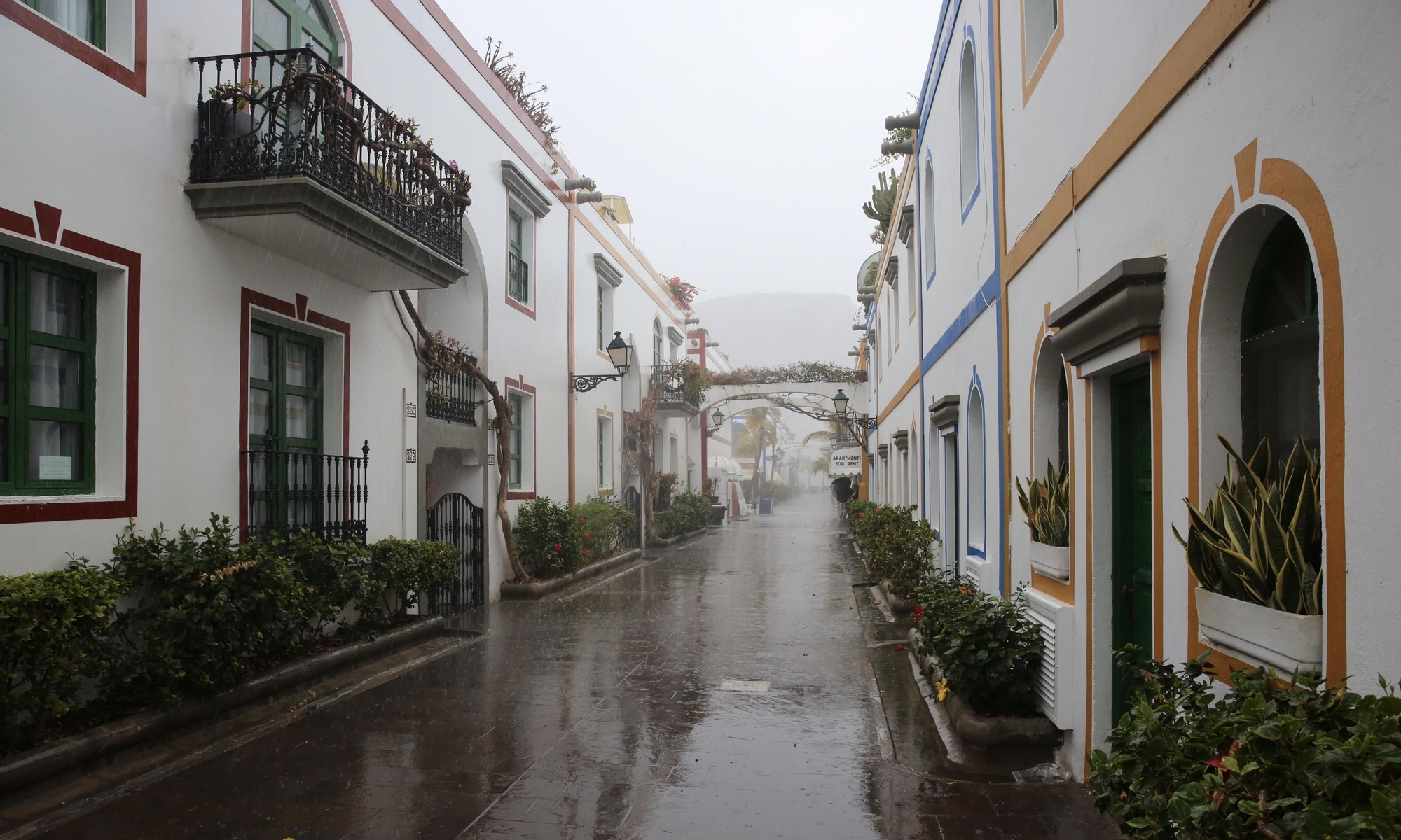 Temporal en Mogán (ALEJANDRO RAMOS)