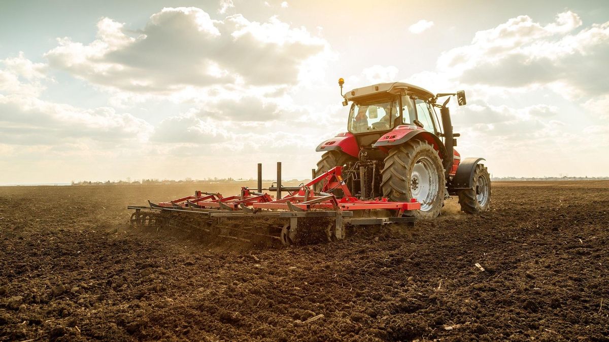 Archivo - Tractor en el campo