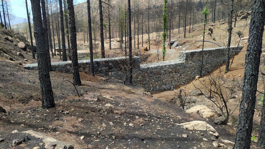 Uno de los azudes instalados por el Cabildo de Gran Canaria