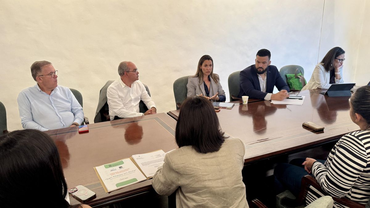 Reunión en la Casa Salazar celebrada este martes para avanzar en el diseño de un futuro modelo de transporte a la demanda en La Palma.