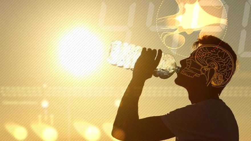 Lentos, apáticos y con pequeñas pérdidas de memoria, así afecta el calor al cerebro