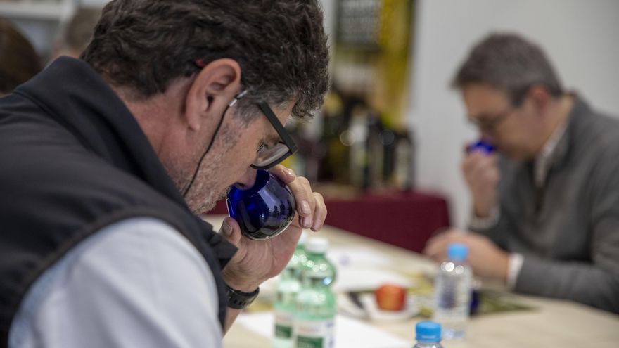 Los productores dudan de un “descalabro” en los precios del aceite de oliva en los próximos meses