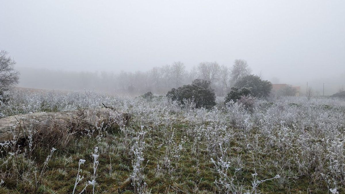 La cencellada pinta de blanco la comarca del Páramo leonés