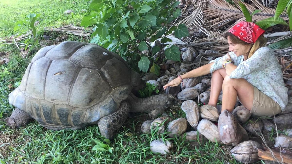 La ecóloga Anna Traveset alerta de una sexta extinción: "Los osos polares comen menos focas por la pérdida de hielo"