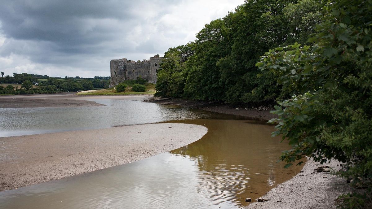 El castillo de Carew emerge tras los árboles de las marismas.