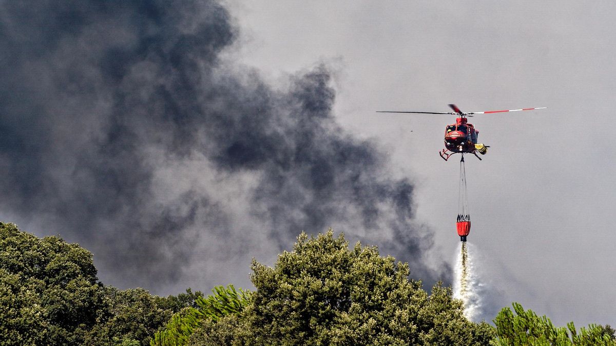 Efectivos luchan contra las llamas de un incendio forestal declarado en el término municipal de Navaluenga