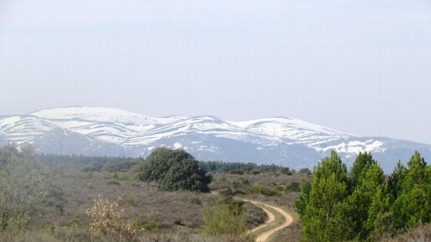 Naturaleza viva en el municipio de Cimanes del Tejar