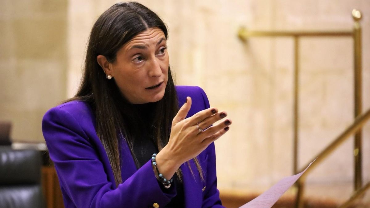 La consejera de Inclusión Social, Juventud, Familias e Igualdad, Loles López