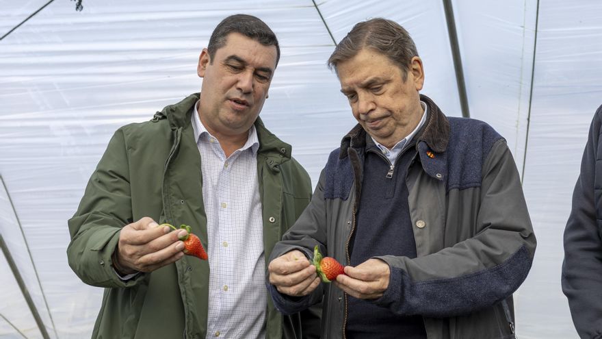 El ministro de Agricultura, Pesca y Alimentación, Luis Planas, visita las zonas agrícolas afectadas por el temporal este jueves en Moguer (Huelva).