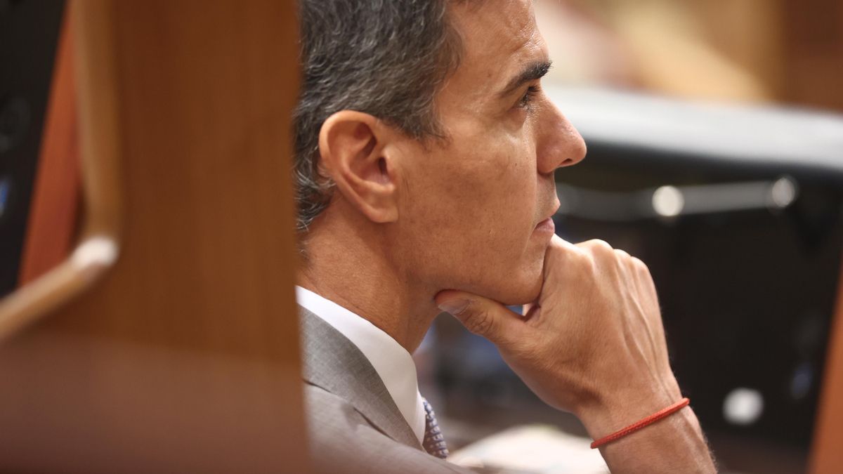 El presidente del Gobierno, Pedro Sánchez, durante una sesión plenaria, en el Congreso de los Diputados.