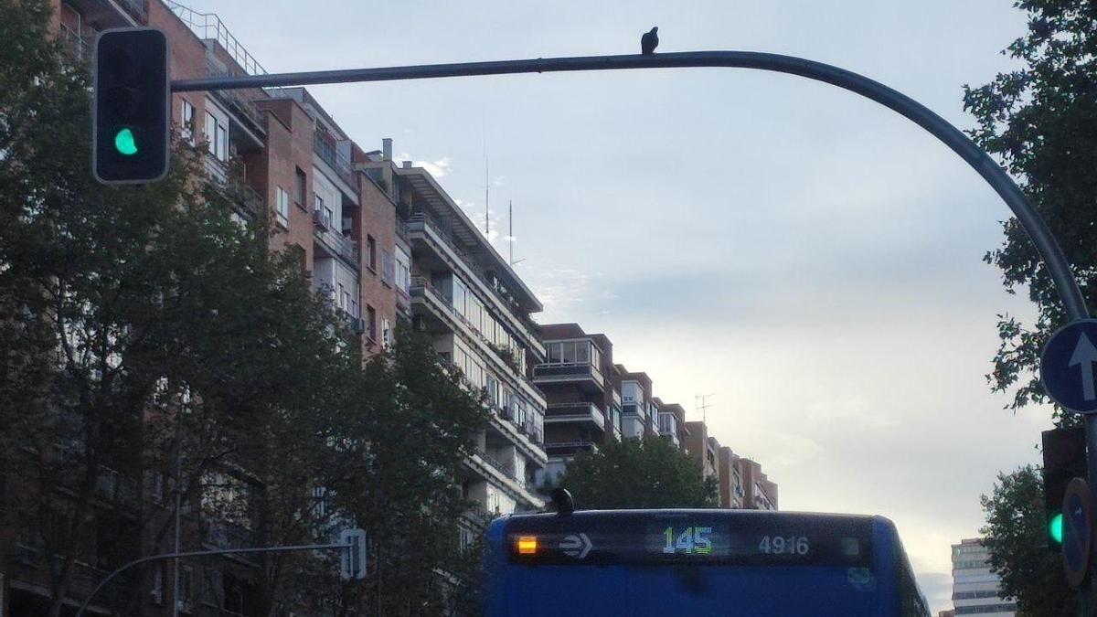 Un autobús de la línea 145 de EMT en Conde de Casal.