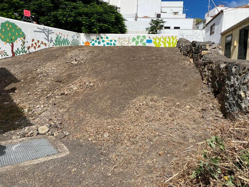 Imagen de la parcela ya limpia.