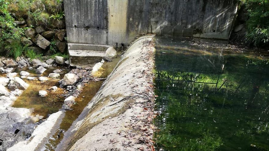 Investigan un posible delito ecológico en Urdaibai por "secar" un río para abastecer de agua a la zona y matar la fauna y flora