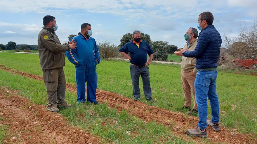 Daños causados en San Andrés del Rey (Guadalajara) por una promotora fotovoltaica, según APAG