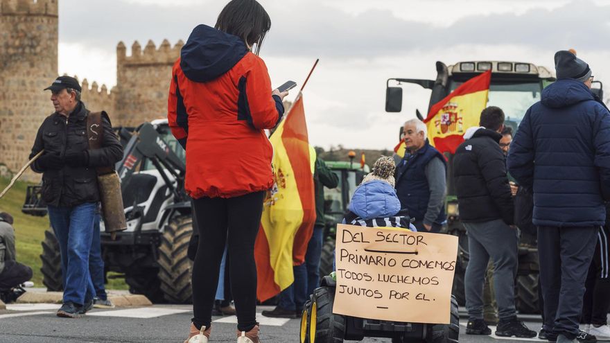 Radiografía de la agricultura en España: los gigantes del sector ganan más y las pequeñas explotaciones luchan por sobrevivir
