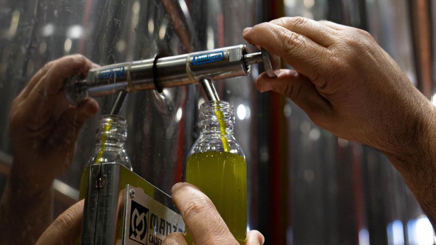 Aceite de oliva, aceitunas, aeronáutica o piedra natural: el fuerte impacto de los aranceles de Trump en Andalucía