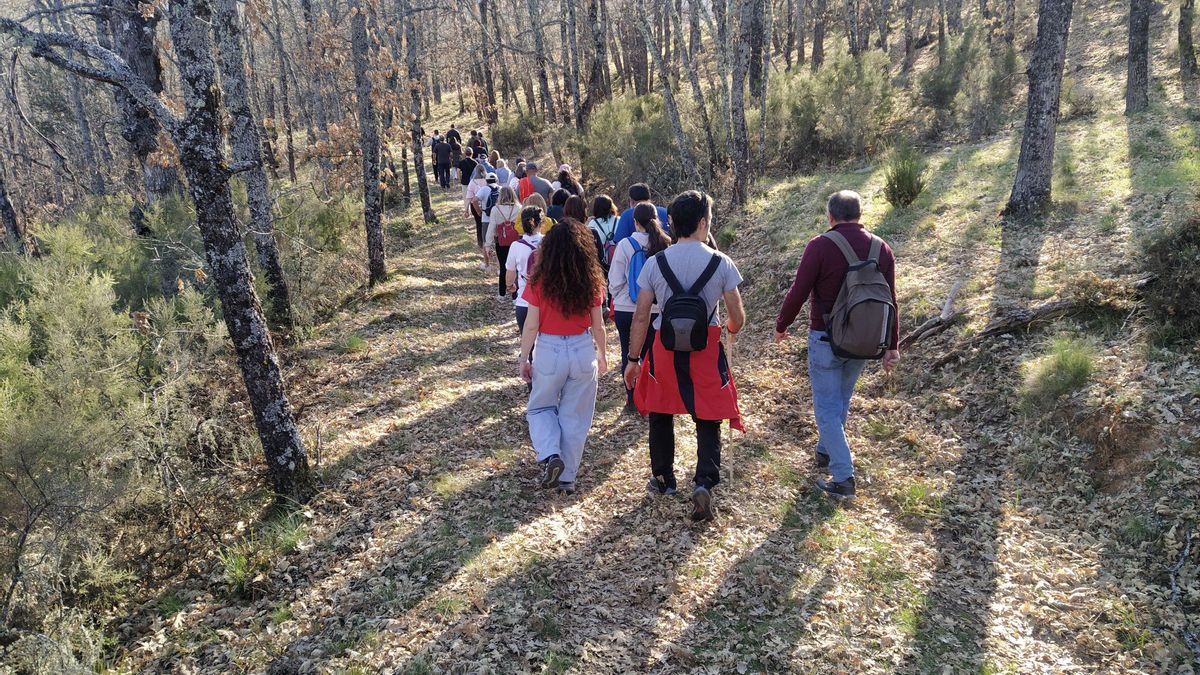 Ruta a los colmenares antiguos de Filiel.