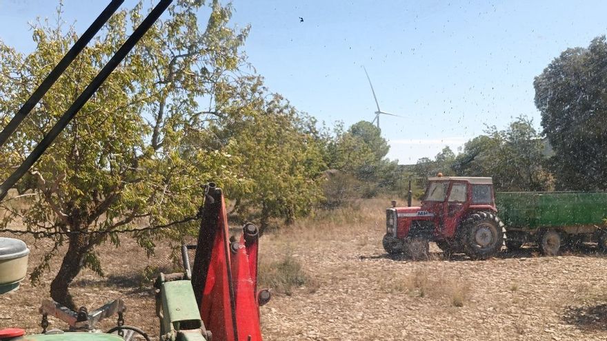 Explotación de almendros