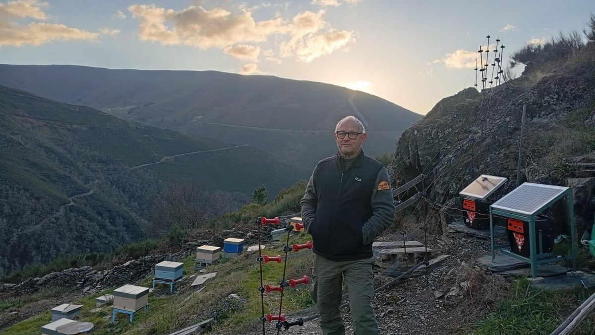 Roberto Hartasánchez, director honorario de Fapas: "Las comunidades autónomas hacen censos de osos a la carta"
