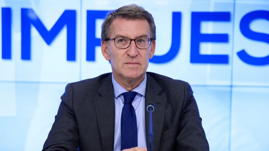 El presidente del Partido Popular, Alberto Núñez Feijóo.