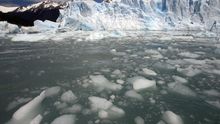 Estudio advierte que el cambio climático modificará la diversidad biológica