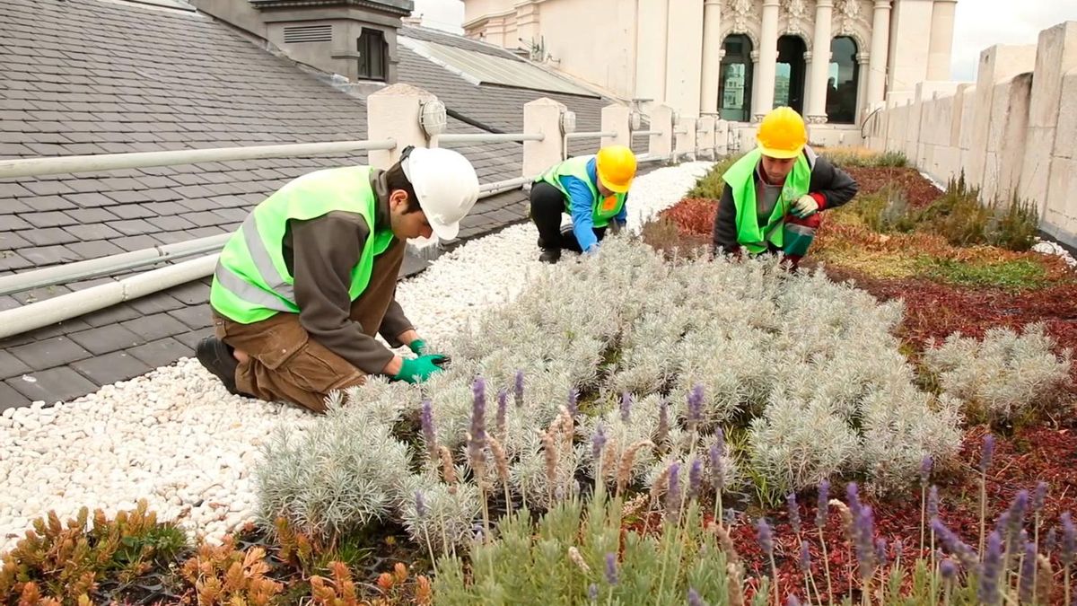 Instalación de una cubierta verde en el Ayuntamiento de Madrid en el año 2018