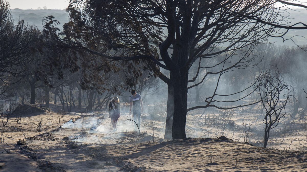 Zona arrasada por las llamas del incendio de Doñana en el municipio de Mazagón