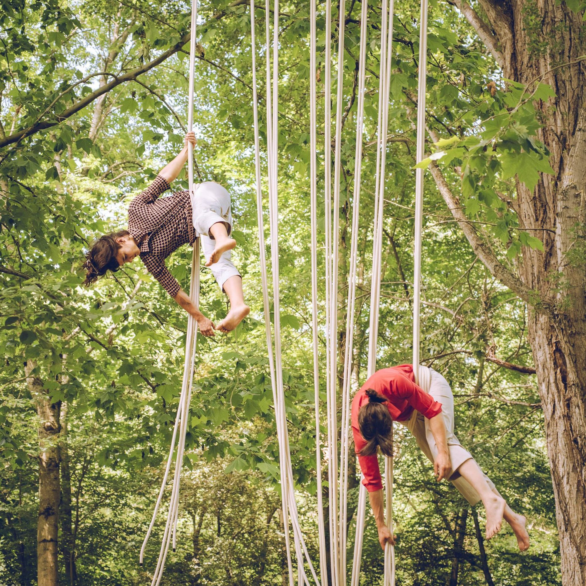 Espectáculo “Zuhamu” de la compañía La Trapecionista, socio en Navarra del proyecto Aula Albura