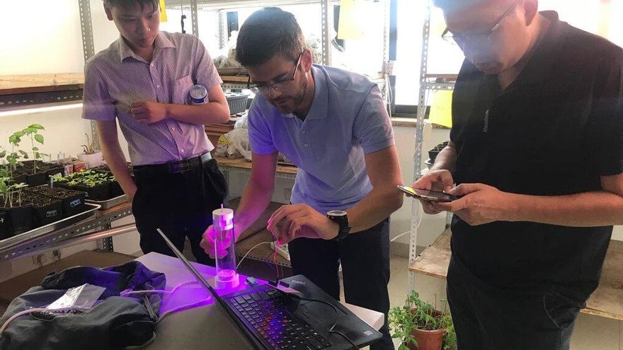 Experimentación en el laboratorio